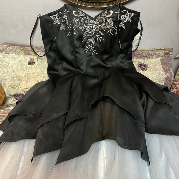 Beautiful ball gown NWT - Picture 2 of 4
